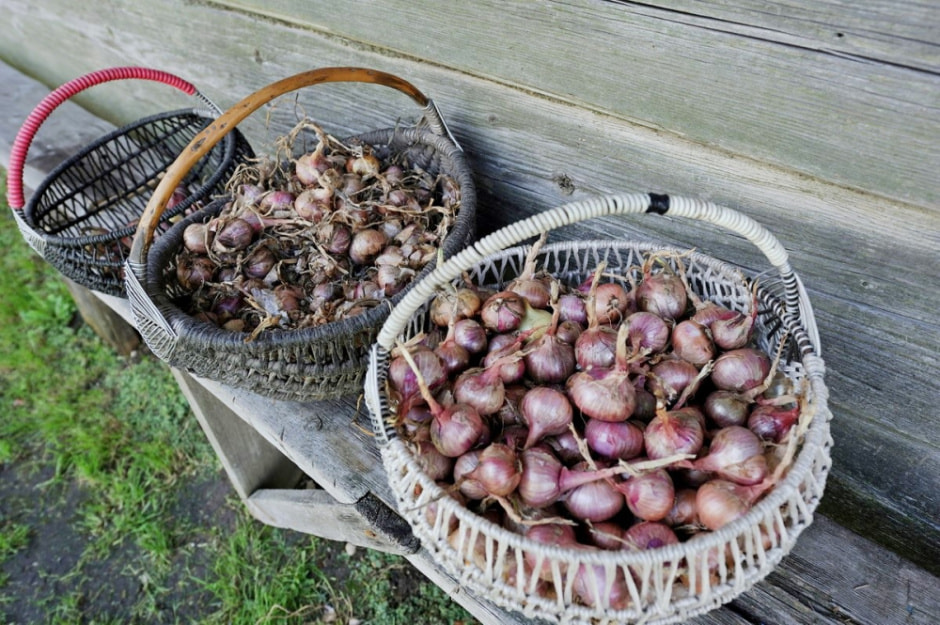 Детство в дереввне 12.jpg