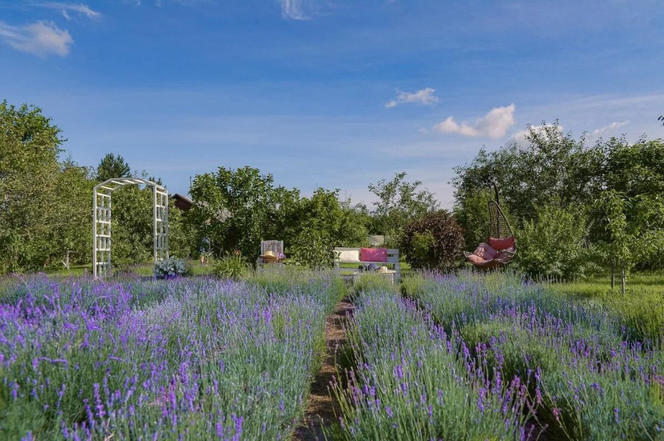 Смартпресс командировки 2.jpg