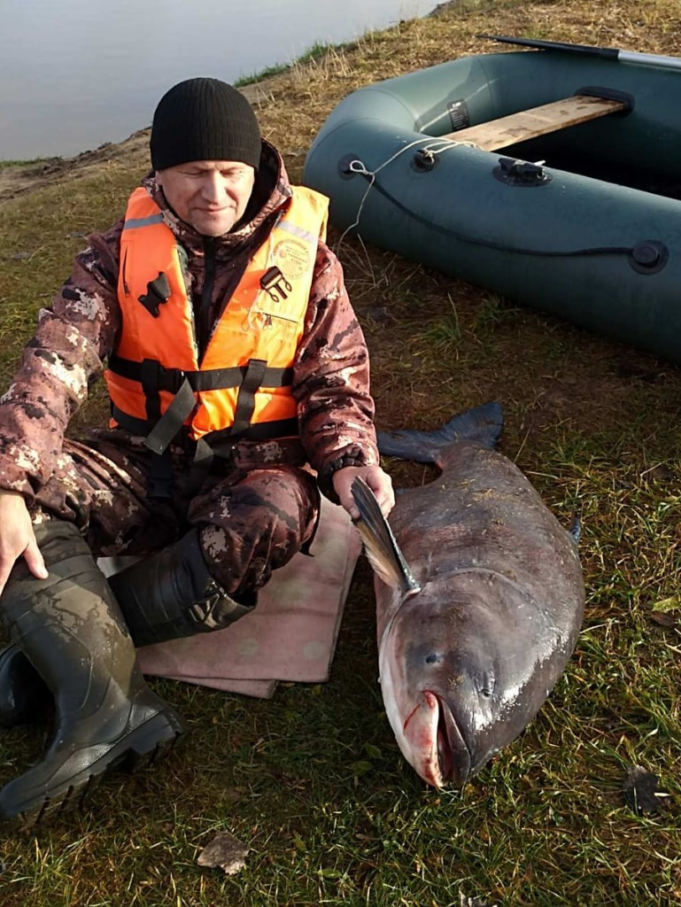 толстолобик, Вороново.jpg