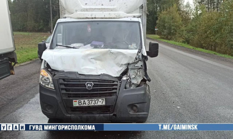 На трассе Колодищи-Заславль грузовик сбил лося (2).jpg