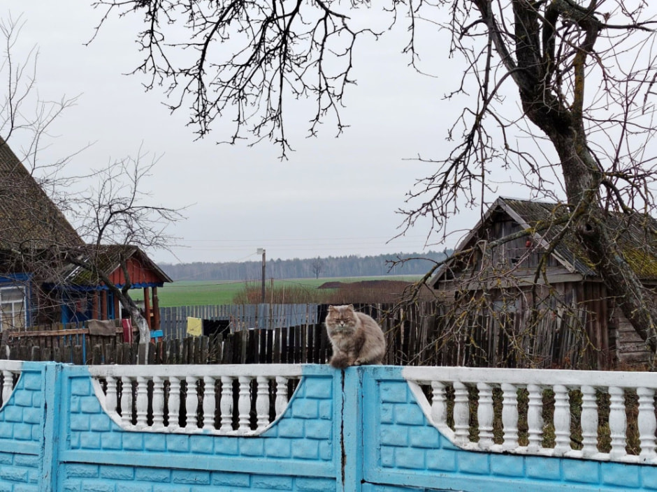 Дзед Янкель и его история 9.jpg