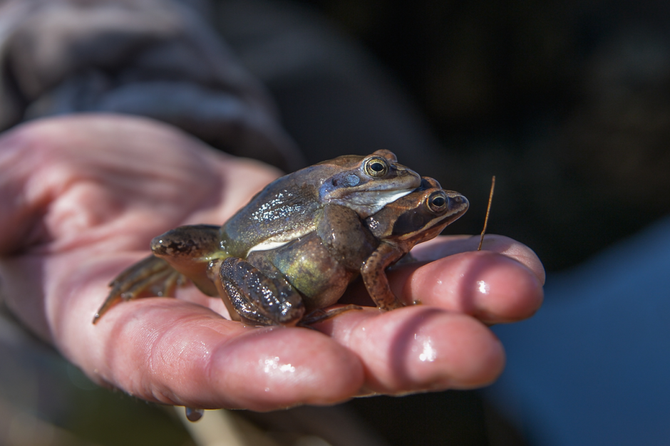 Прогулка с орнитологом 19.png
