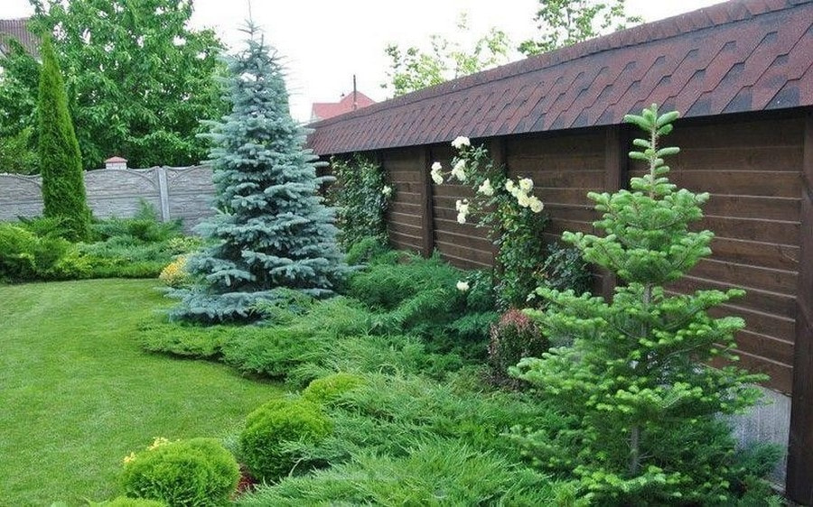 Какие растения не надо обрезать весной 8.jpg