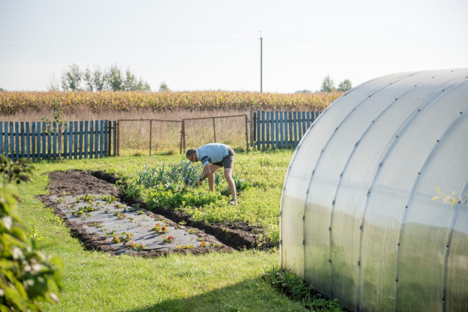 Парень ищет жену в деревне 15.jpg