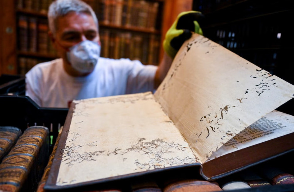 Библиотека и жуки