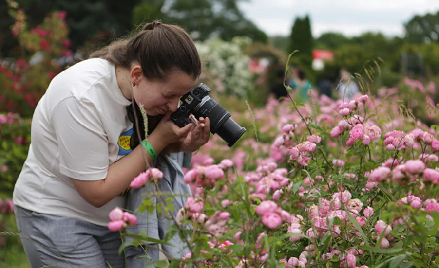 В Ботаническом саду Минска сейчас пик цветения розы – спешите сделать красивые снимки.png
