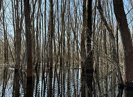 Белорусам предложили пройтись по “морю Геродота” – байдарки и каяки больше не нужны