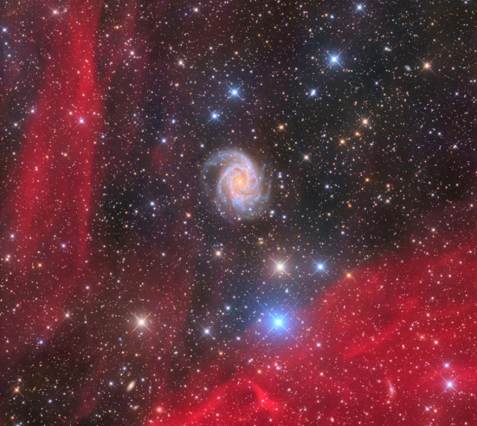 Галактика Антлийская капуста