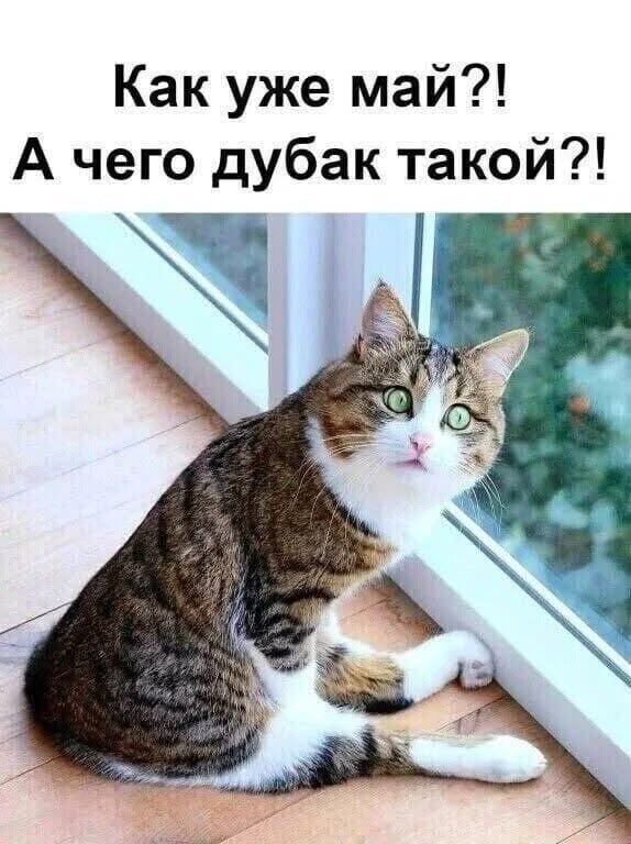 Мемы майские холода