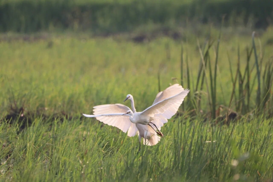 Мадагаскар 9.jpg