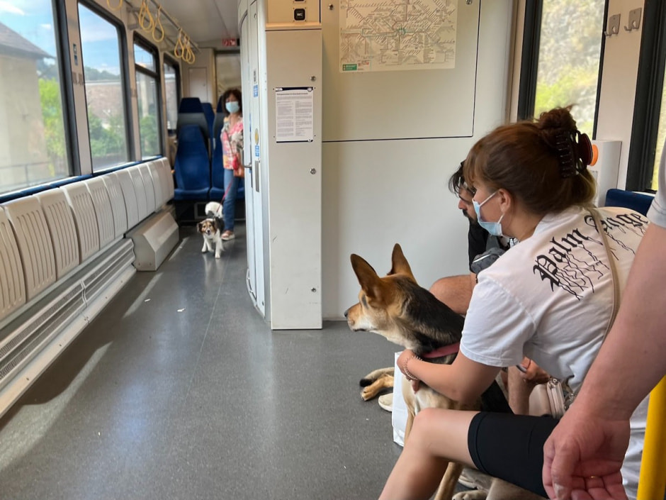 Проездные за 49 евро Германия 5.jpg