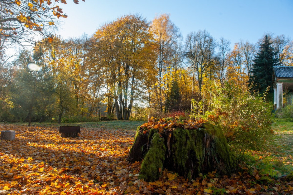 Солдатовы и усадьба Дуниных-Раецких 3.jpg