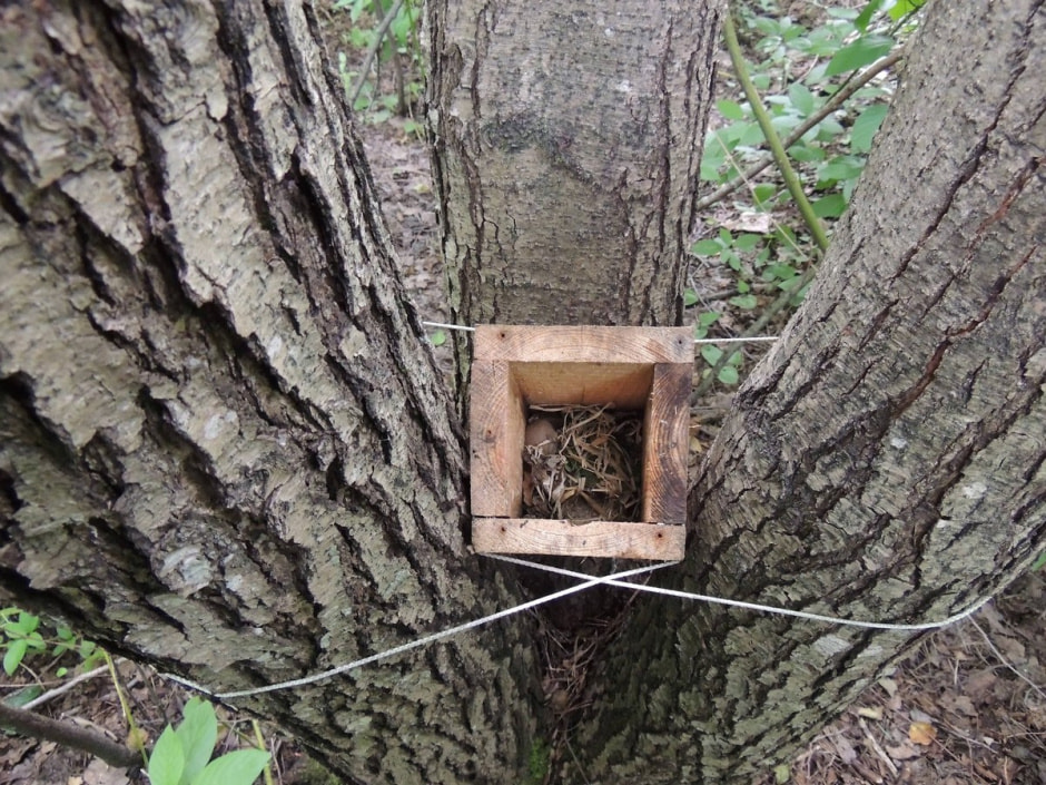 Экспедиция сони 19.jpg Экспедиция сони 19.jpg