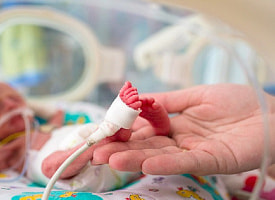 Редкие болезни новорожденных находят до появления симптомов: в Беларуси работает новый скрининг