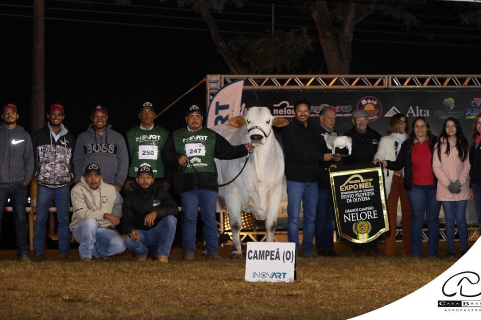 Дорогая корова..jpg