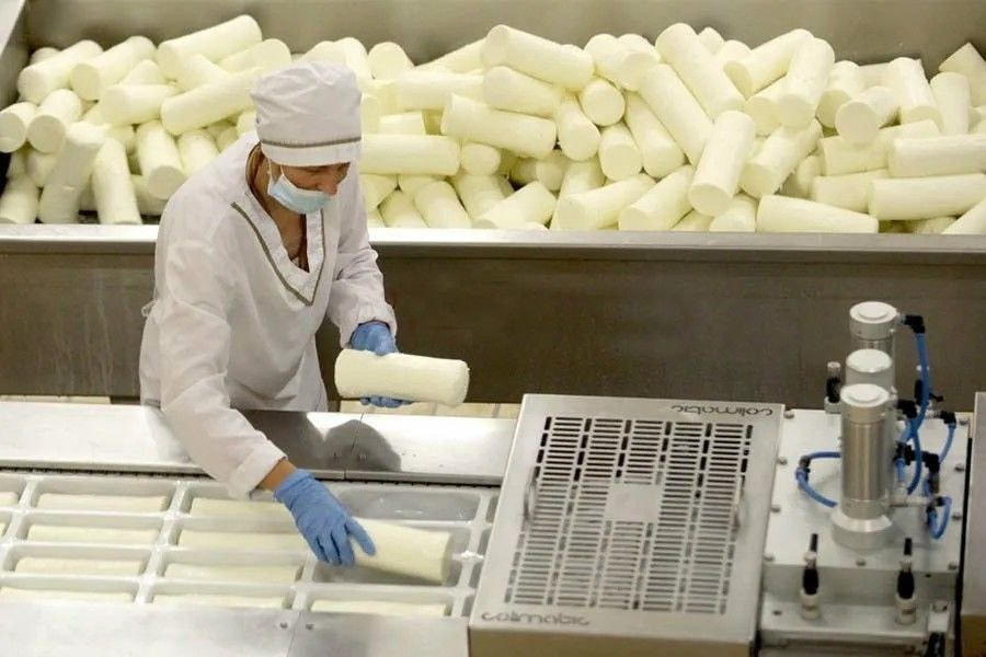 Как в Турове делают белорусскую моцареллу Tur 4.jpg