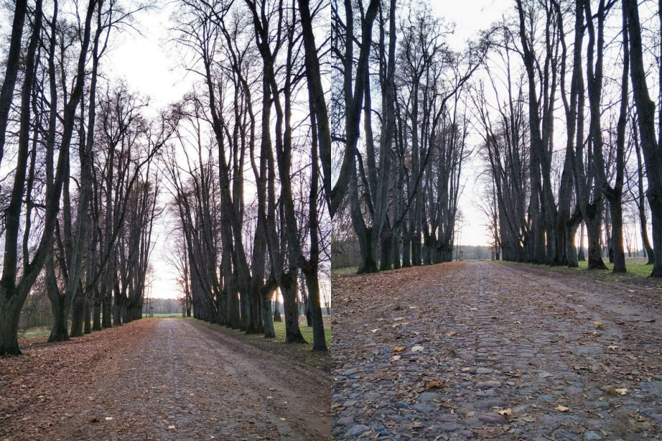 Тадэвуш Рэйтан і Грушаўка 3.jpg