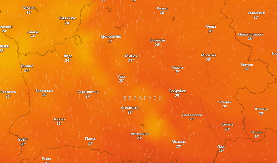 Беларусь накроет новая волна жары.png