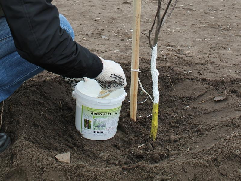 photo_2024-12-01_20-30-05 (2).jpg photo_2024-12-01_20-30-05 (2).jpg