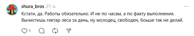 общественные работы2.jpg общественные работы2.jpg