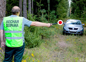 Штраф до 1350 рублей. Гослесохрана объявила "усиленный контроль" по всей Беларуси