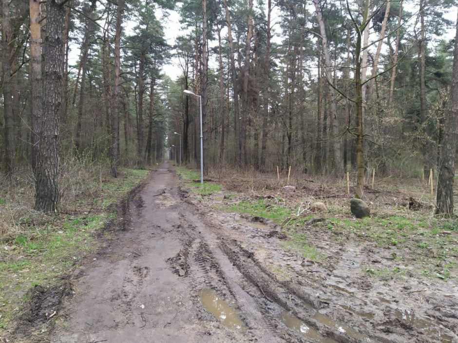 Парк 50-летия Октября 28.jpg