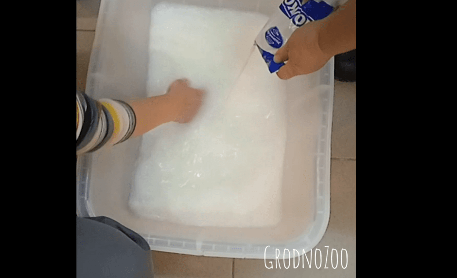 зоопарк.png зоопарк.png