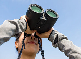 Штраф до 2250 рублей. Минчан призвали передавать эту информацию властям