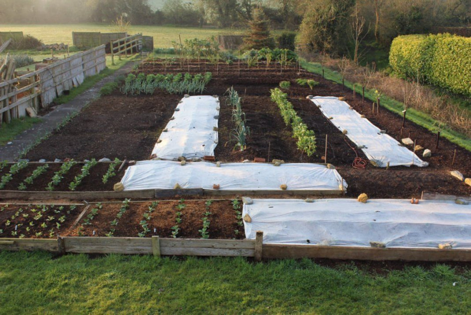 спанбонд.jpg спанбонд.jpg