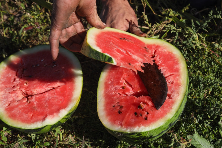 Споровские фермеры из Здитово-28.jpg