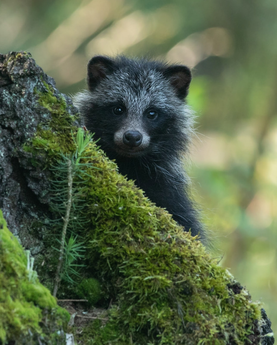 Финалисты конкурса Дикая природа Беларуси-2024 16.jpg