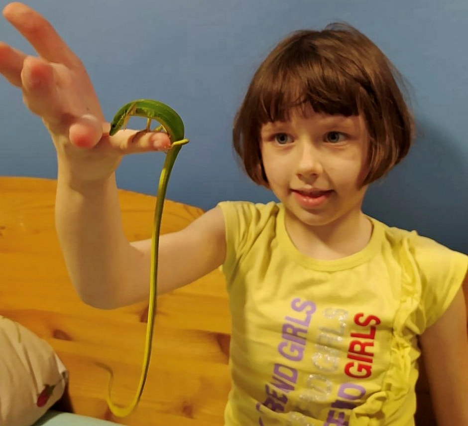 Домашние гады 14.jpg