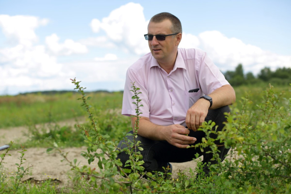 Фиточаи Калина 21_Владимир Мурашко.jpg