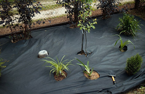 Ошибки с агроволокном на даче: когда оно спасает, а когда душит растения