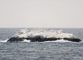 В Антарктике нашли остров, которого нет на морских картах