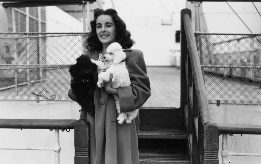 Элизабет Тейлор 