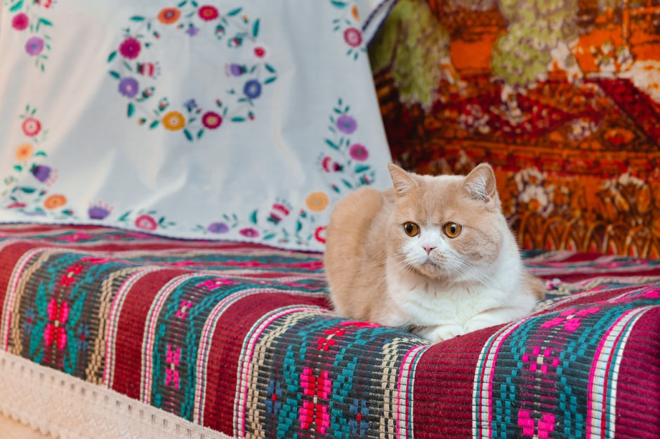 Герои Смартпресс 2.jpg