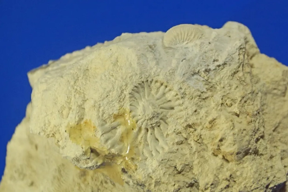 древняя находка.jpg