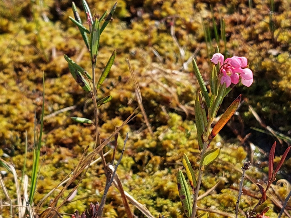 Поход на Ельню 18.jpg