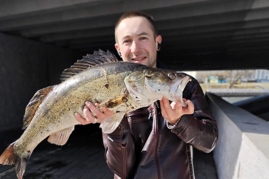 Судак крупный.jpg