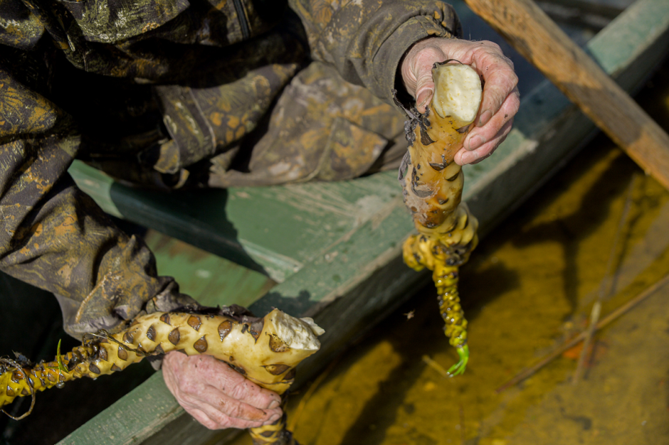 Лодочник с Полесья 25.png