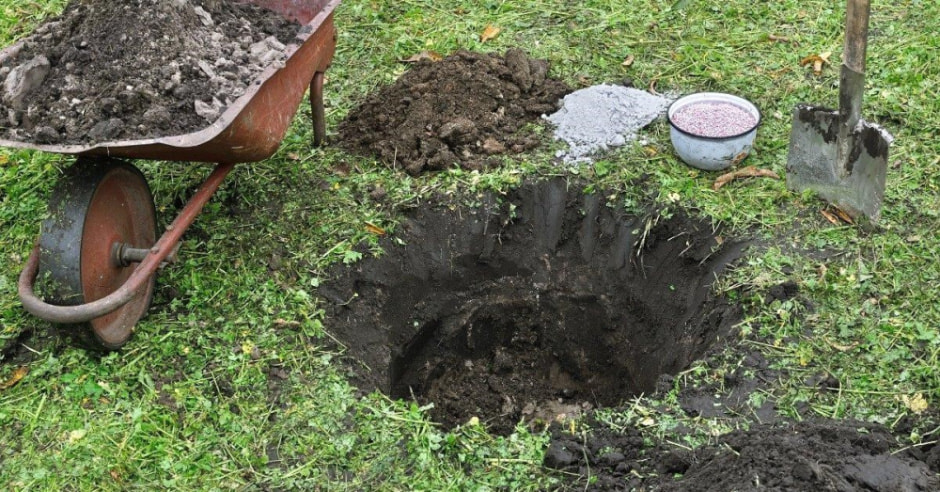 Как подготовить ямки для саженцев 6.jpg
