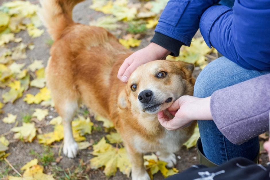 Как минчане переехали в деревню Вигушки 28.jpg