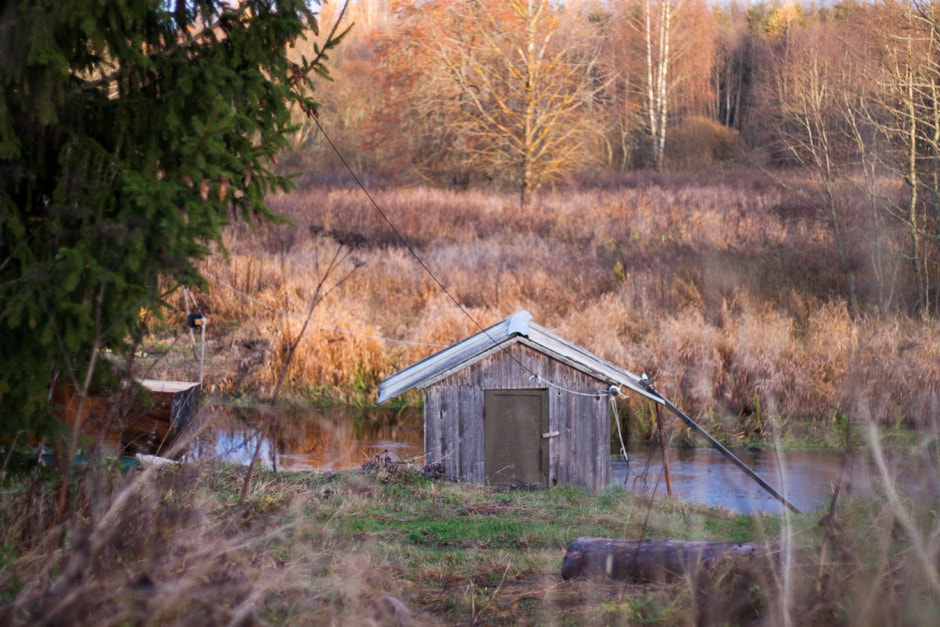 Агроусадьба Сосновый Бор 1.jpg