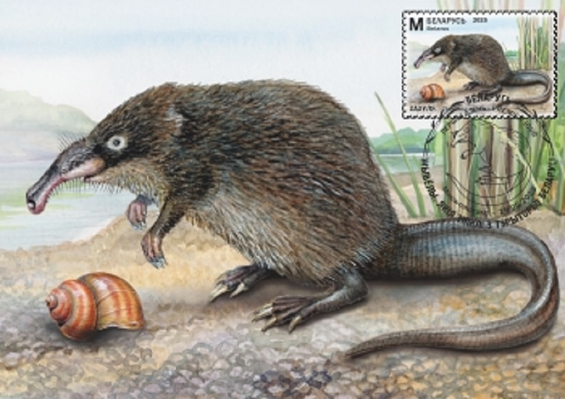 Марка с животным.jpg