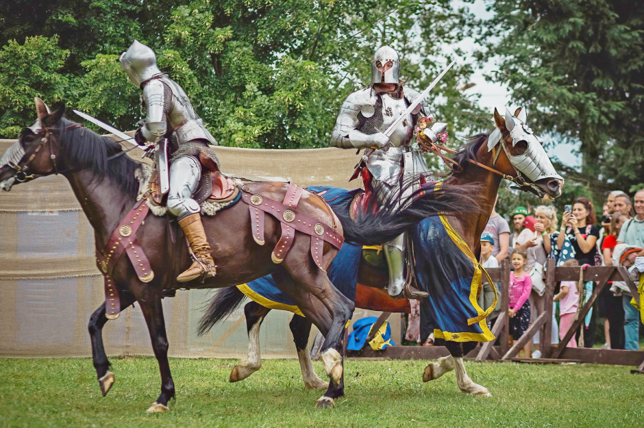 Мастер над доспехами 9.png