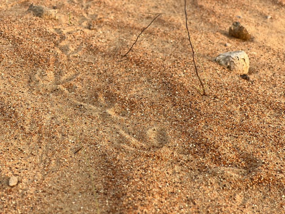 новинки дубаи00023.png