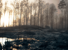 Белгидромет объявил штормовое оповещение – и причина не в холоде и ветре