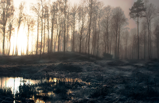 Белгидромет объявил штормовое оповещение – и причина не в холоде и ветре