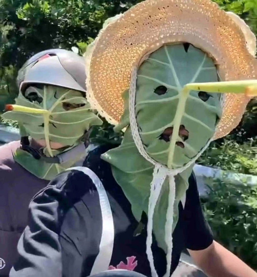 Маски из лотоса.jpg